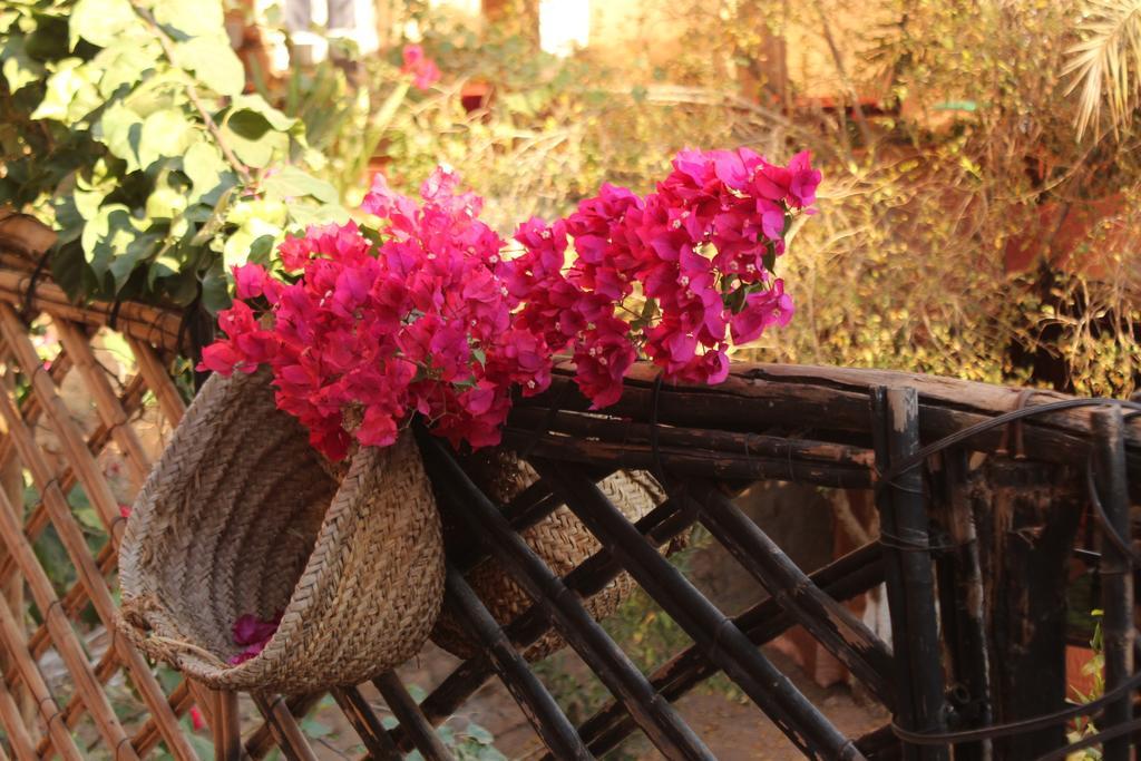 Riad Dar Zaouia Загора Экстерьер фото